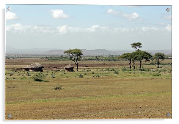 Maasai village Acrylic by Tony Murtagh