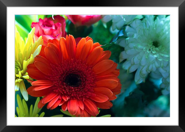 Happy Mothers Day Framed Mounted Print by Peter Elliott 