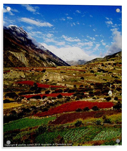 Annapurna Circuit Trek -near Manang Acrylic by yvonne & paul carroll