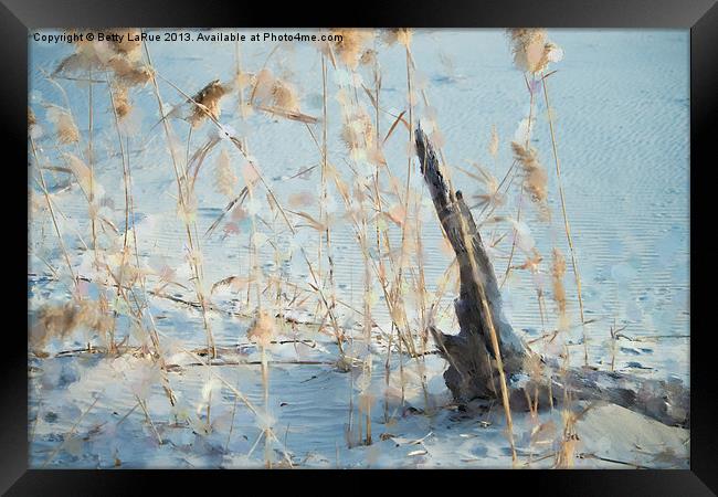 Driftwood Abstract Framed Print by Betty LaRue
