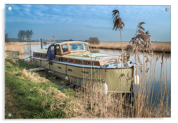 Cruiser in the River Thurne Acrylic by Stephen Mole
