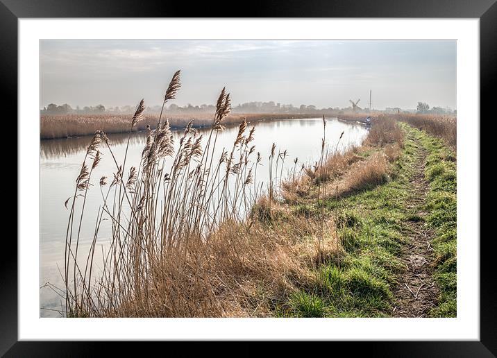 Looking towards Thurne Mill Framed Mounted Print by Stephen Mole