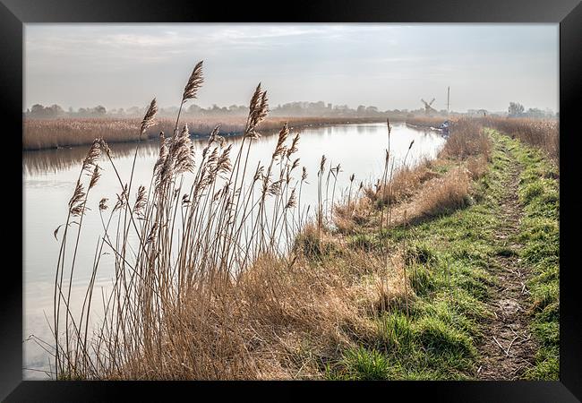 Looking towards Thurne Mill Framed Print by Stephen Mole