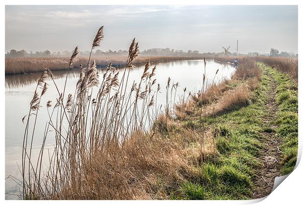 Looking towards Thurne Mill Print by Stephen Mole