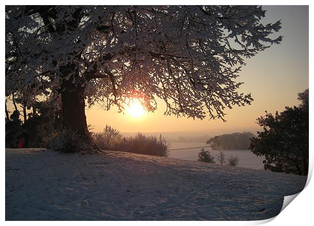 Evening Snow Print by Carol Young