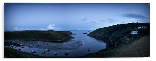 MOONRISE OVER SOLVA Acrylic by Anthony R Dudley (LRPS)