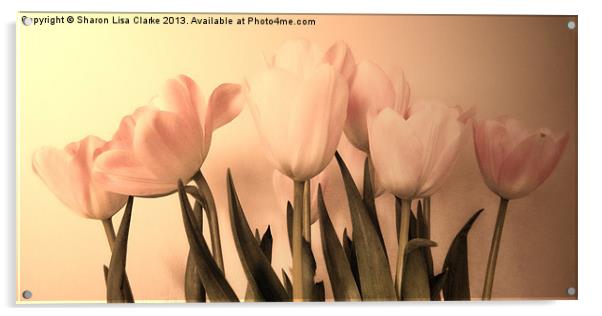 Vintage Tulips Acrylic by Sharon Lisa Clarke