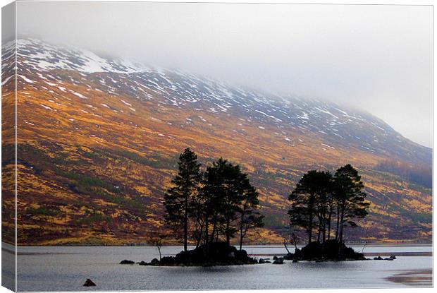 the trees of loch ossian Canvas Print by dale rys (LP)