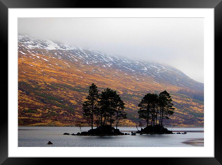 the trees of loch ossian Framed Mounted Print by dale rys (LP)