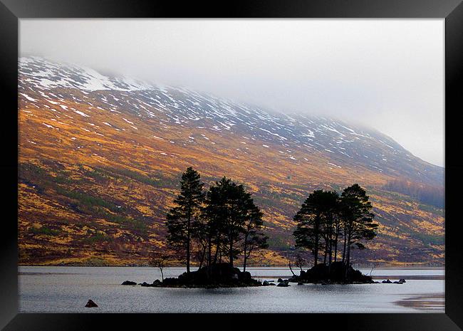 the trees of loch ossian Framed Print by dale rys (LP)