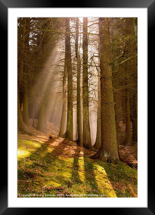 Deanclough forest Framed Mounted Print by Craig Coleran
