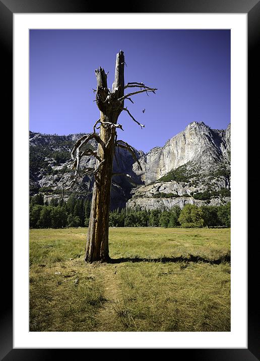 Yosemite Framed Mounted Print by Kieran Brimson
