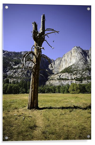 Yosemite Acrylic by Kieran Brimson
