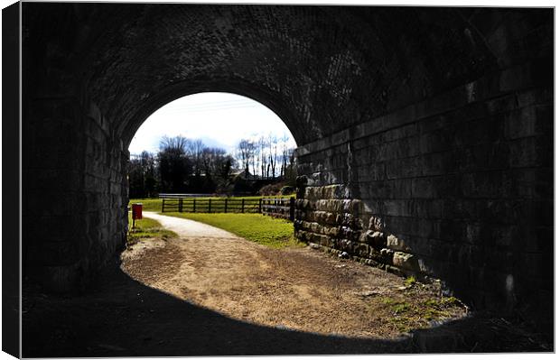Through The Tunnel Canvas Print by Ade Robbins