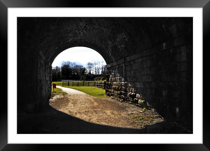 Through The Tunnel Framed Mounted Print by Ade Robbins