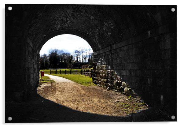 Through The Tunnel Acrylic by Ade Robbins