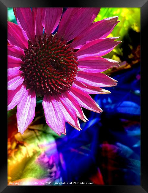 Psychedelic Daisy Framed Print by Michelle Orai