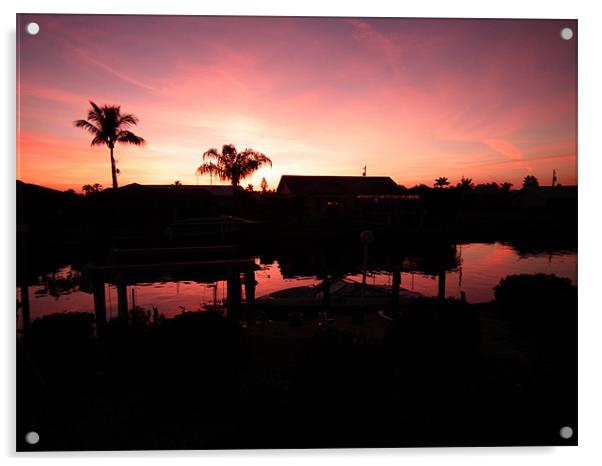 Florida sunset Acrylic by Alan Flatman