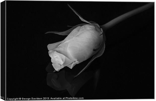 Rose in Black & White Canvas Print by George Davidson