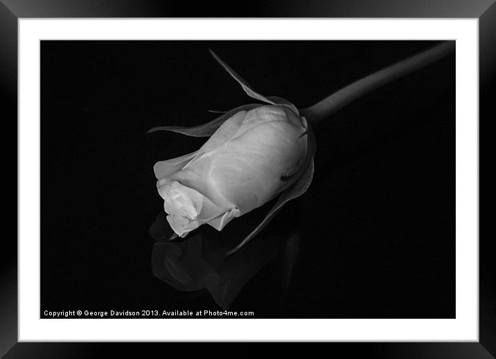 Rose in Black & White Framed Mounted Print by George Davidson