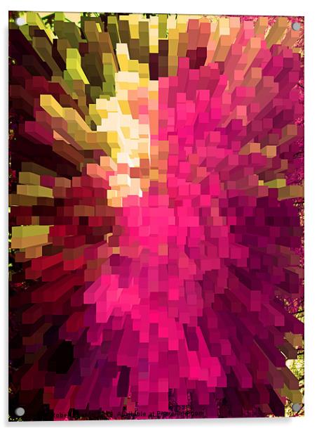 A blast of colour Acrylic by Robert Gipson