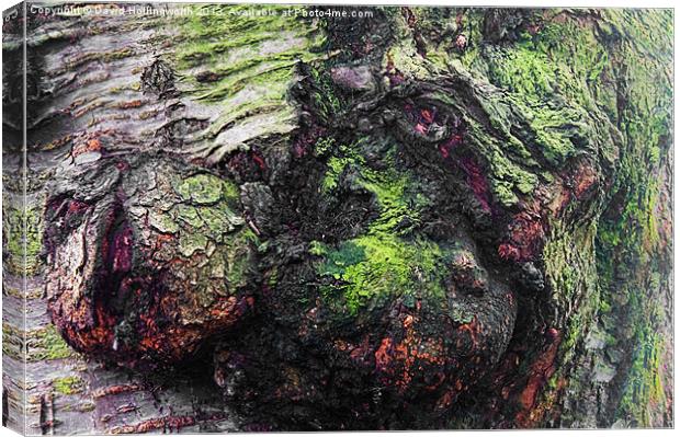 Tree Faces Canvas Print by David Hollingworth