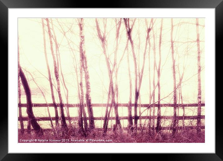 Mystical Forest Scene Framed Mounted Print by Natalie Kinnear