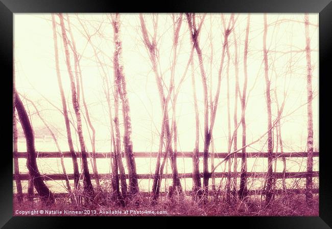 Mystical Forest Scene Framed Print by Natalie Kinnear