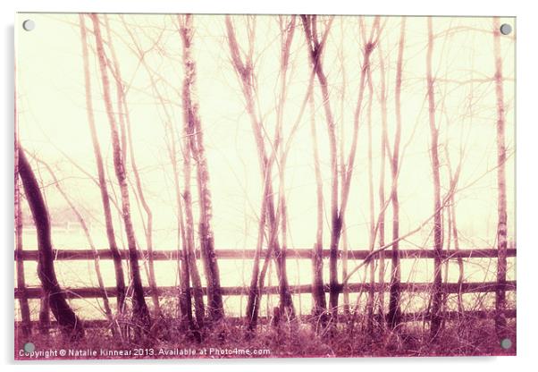 Mystical Forest Scene Acrylic by Natalie Kinnear