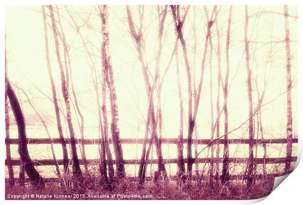 Mystical Forest Scene Print by Natalie Kinnear