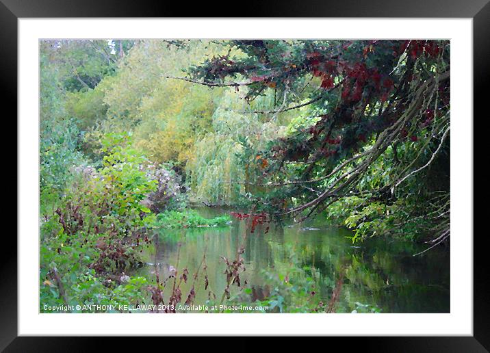 RIVER ITCHEN IN AUTUMN PAINTING Framed Mounted Print by Anthony Kellaway