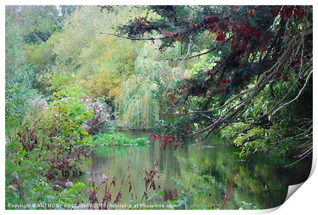 RIVER ITCHEN IN AUTUMN PAINTING Print by Anthony Kellaway
