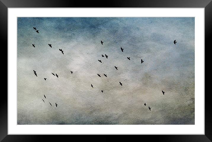 long flight home Framed Mounted Print by Heather Newton