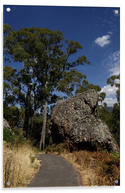 Fallen Rock Acrylic by Graham Palmer