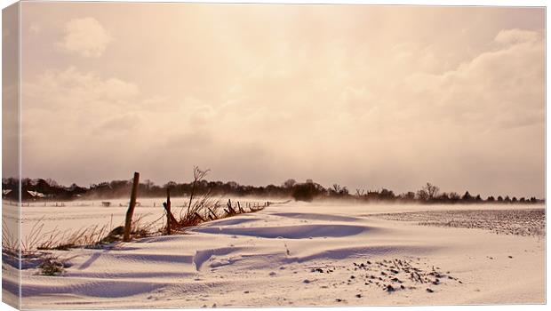 snow covered fields Canvas Print by Dawn Cox