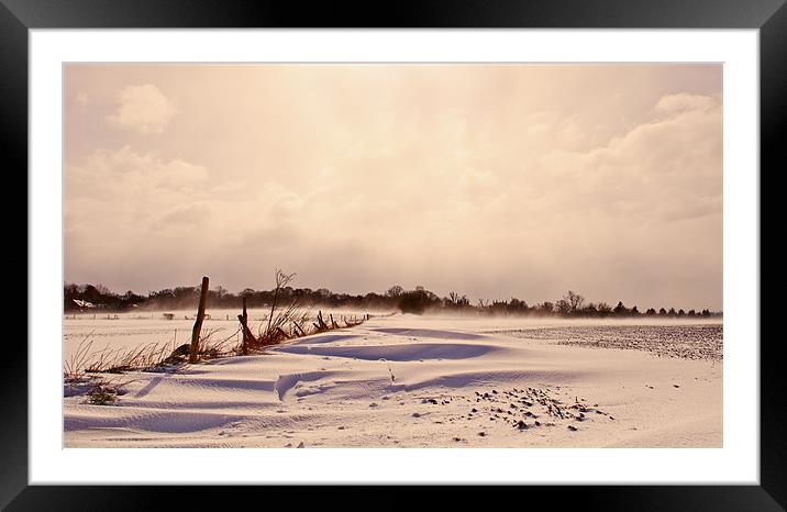snow covered fields Framed Mounted Print by Dawn Cox