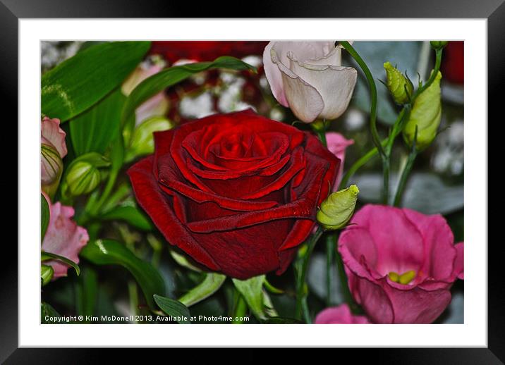 Red Rose with flowers Framed Mounted Print by Kim McDonell
