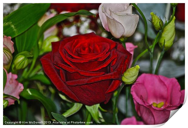 Red Rose with flowers Print by Kim McDonell