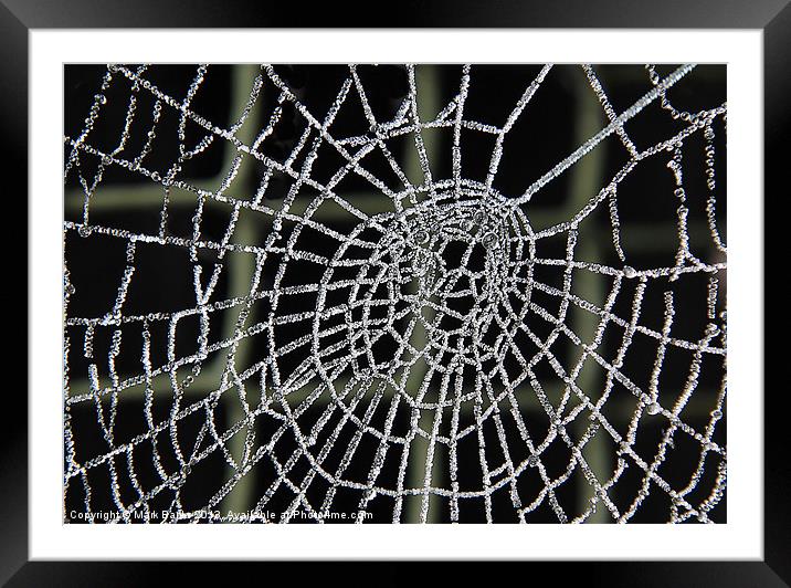 Frozen Web Framed Mounted Print by Mark  F Banks