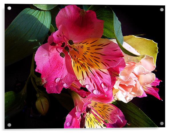 669-beautiful flowers Acrylic by elvira ladocki