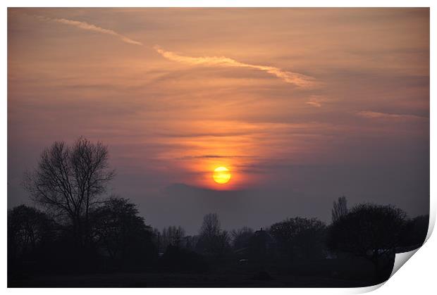 sunset Print by sue davies