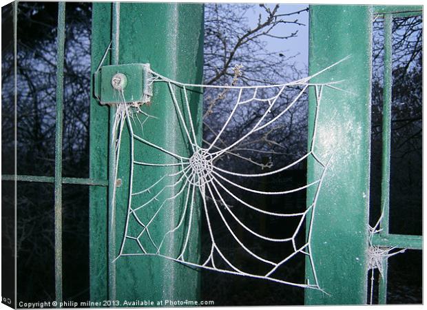 Frozen Spiders Web Canvas Print by philip milner