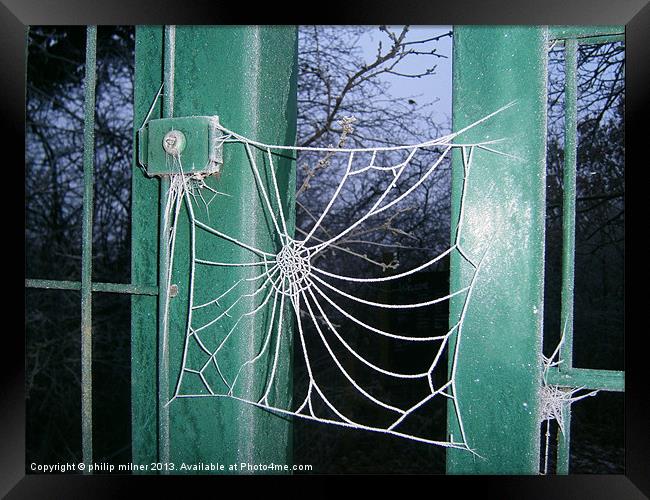 Frozen Spiders Web Framed Print by philip milner