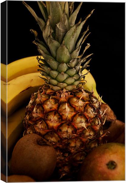 Tropical Fruit Cocktail Canvas Print by Steve Purnell
