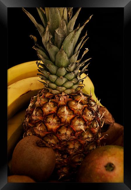 Tropical Fruit Cocktail Framed Print by Steve Purnell