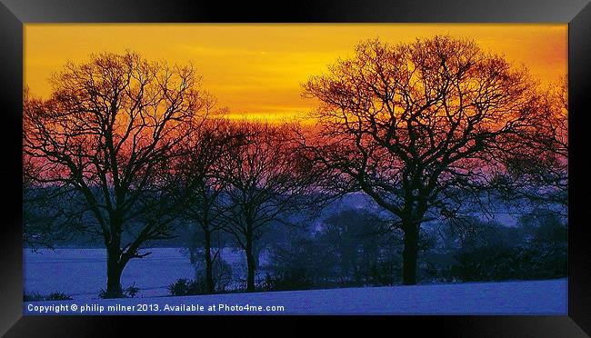 Sunrise Through The Trees Framed Print by philip milner