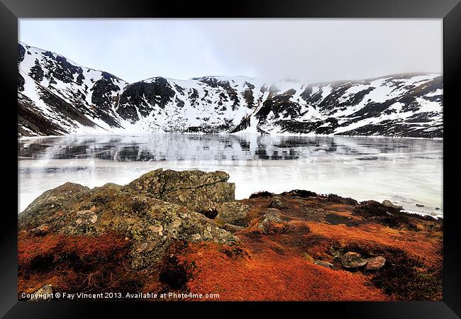 Fire and Ice Framed Print by Fay Vincent