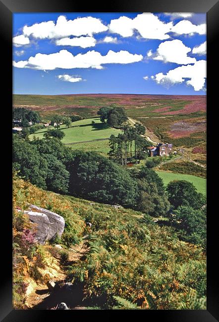 On the Moors Framed Print by David Davies