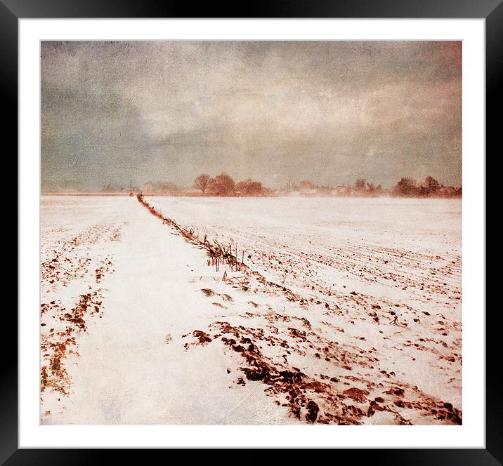 A distant point Framed Mounted Print by Dawn Cox