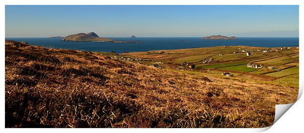 Blasket Islands Print by barbara walsh